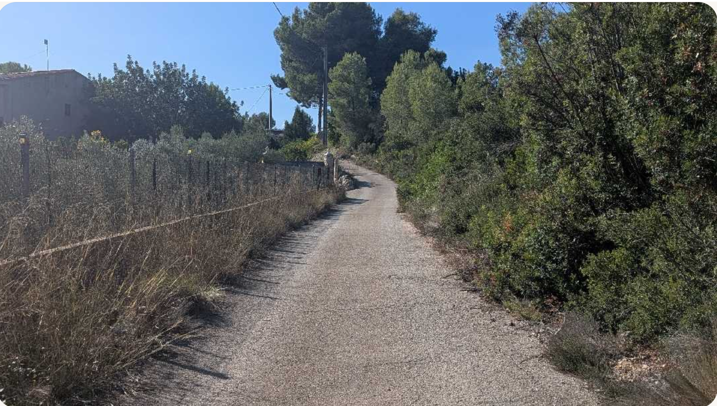 Camino rural rodeado de pinos y vegetación mediterránea bajo un cielo azul despejado, ideal para un paseo consciente de 10 minutos en familia que ayuda a regular el sistema nervioso de grandes y pequeños.