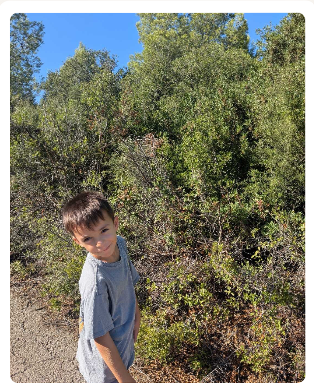 Niño sonriendo entre arbustos verdes durante un paseo consciente de mindfulness en familia en la montaña